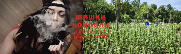 apvp Корсаков