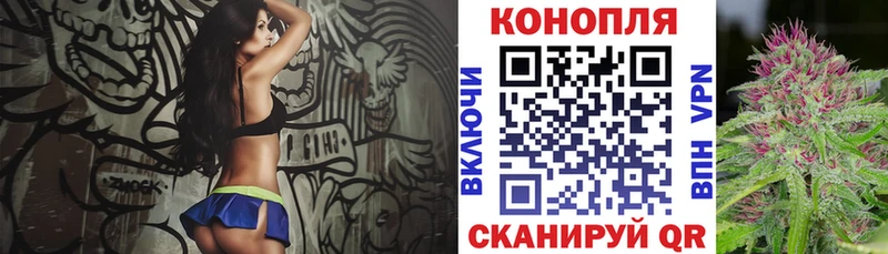 Каннабис планчик  Удачный 